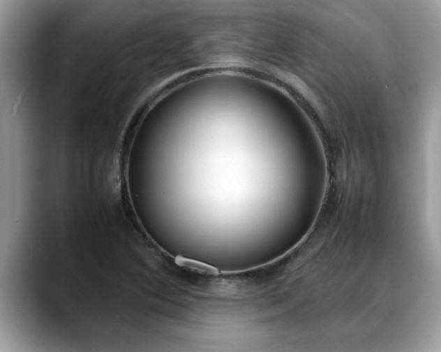 X0000088681364200706071418