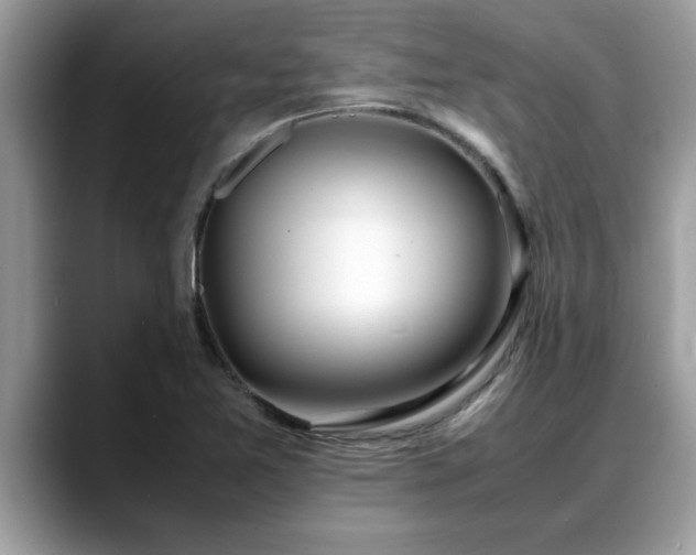 X0000088681365200706071418