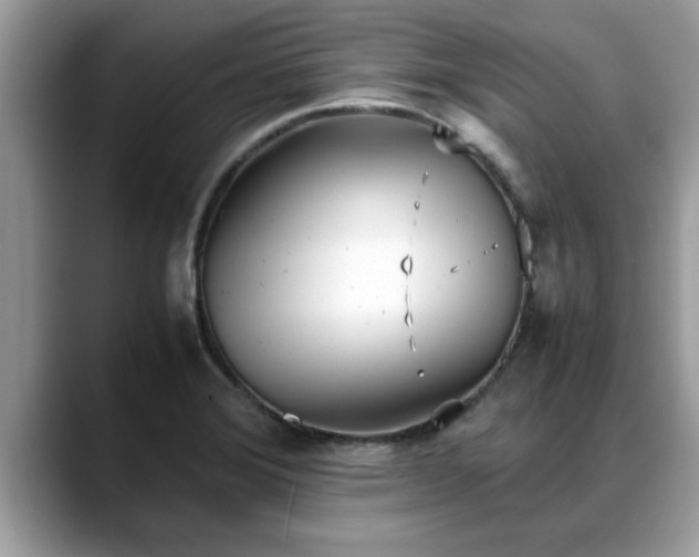 X0000088681372200706071417
