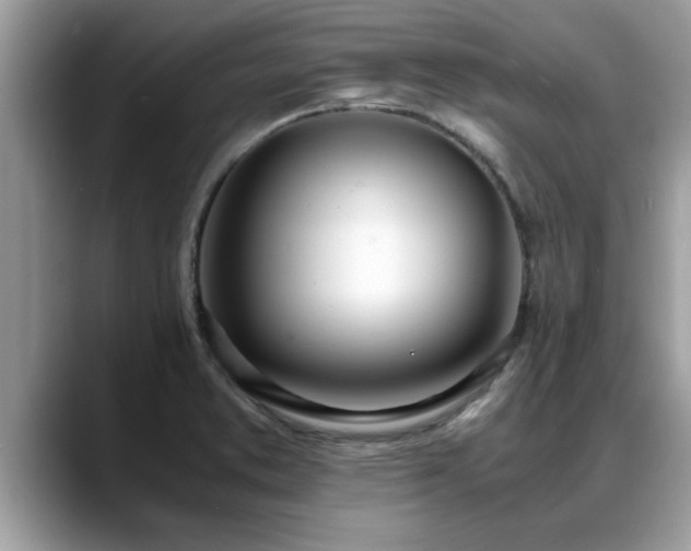 X0000088681373200706071417