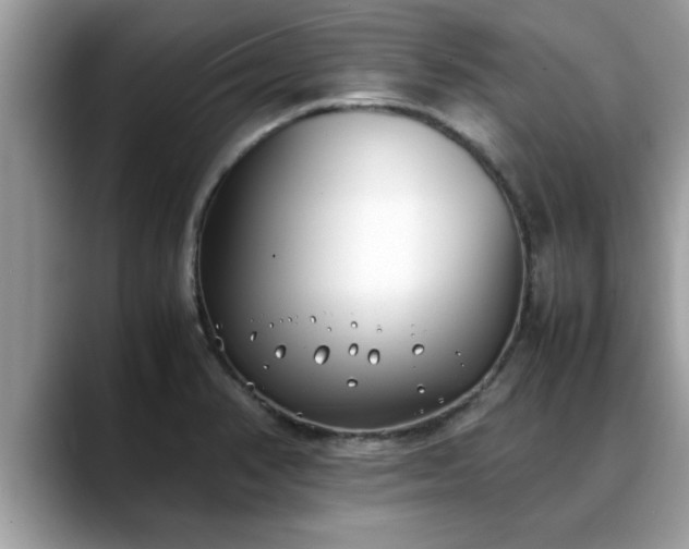 X0000088681374200706071417