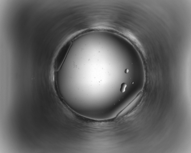 X0000088681376200706071417