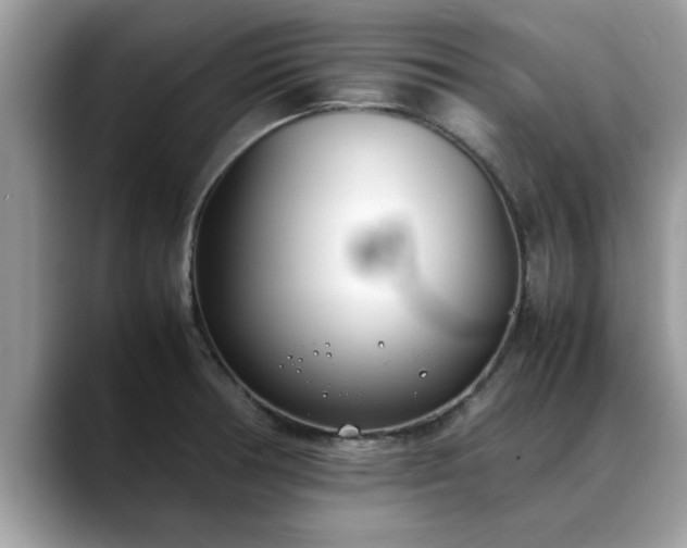 X0000088681378200706071417