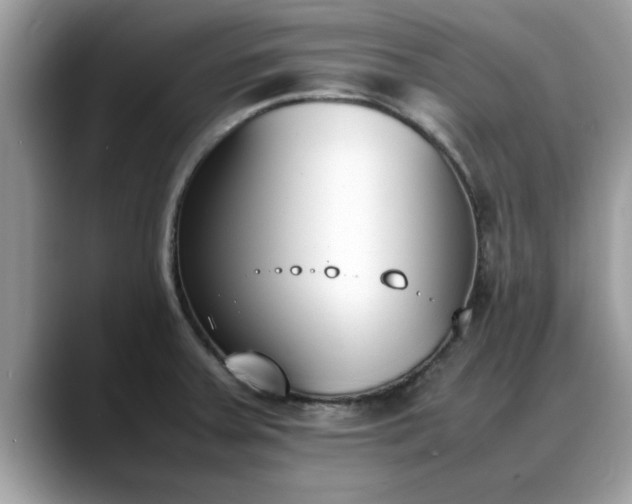 X0000088681379200706071417