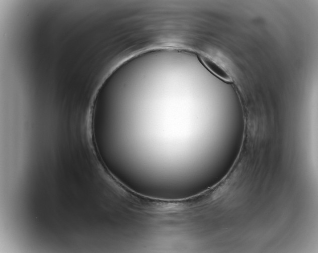 X0000088681382200706071417