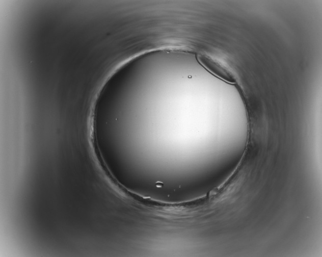 X0000088681383200706071417