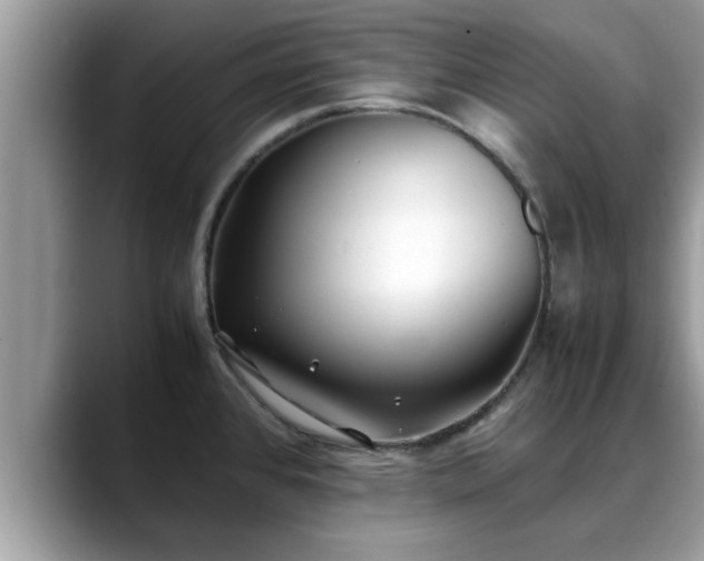X0000088681384200706071417