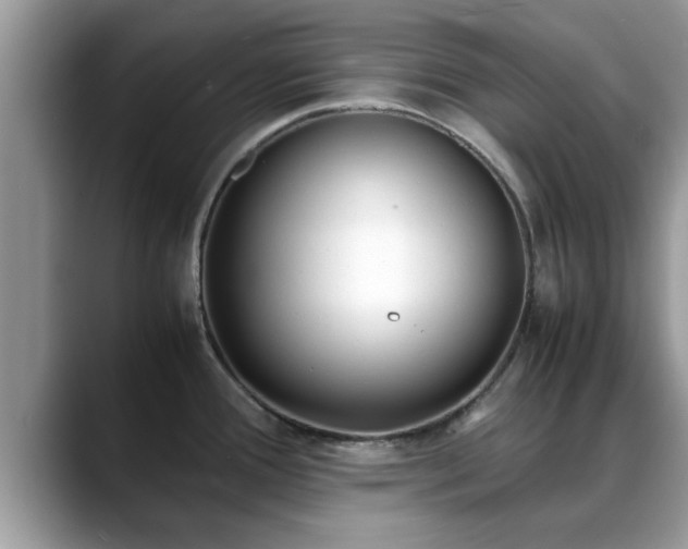 X0000088681388200706071417