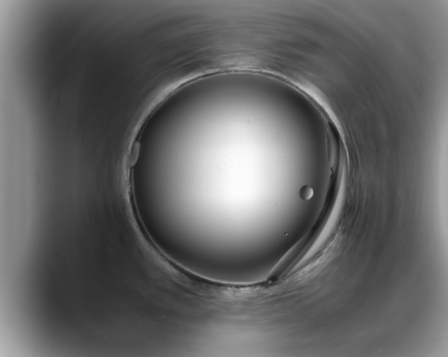 X0000088681389200706071417