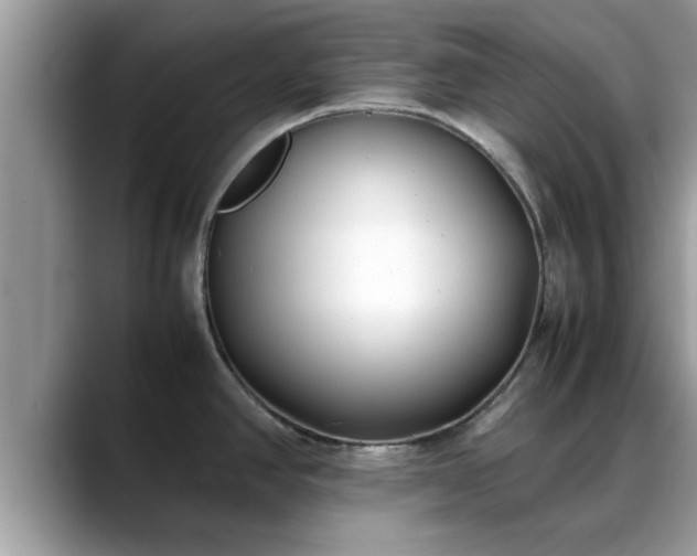 X0000088681390200706071417