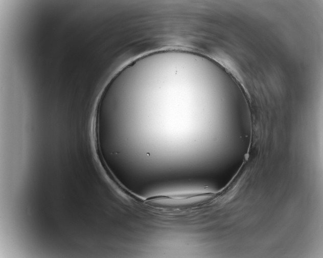 X0000088681391200706071417