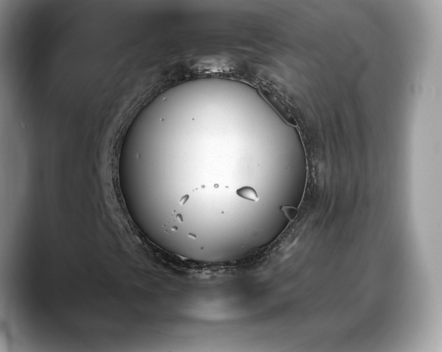 X0000088681393200706071417
