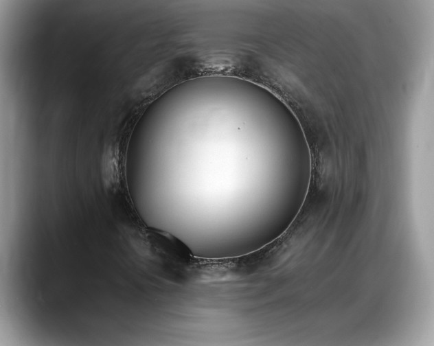 X0000088681394200706071417