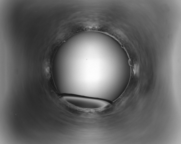 X0000088681396200706071417