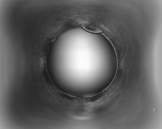X0000088681397200706071417