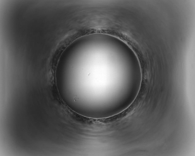 X0000088681398200706071417