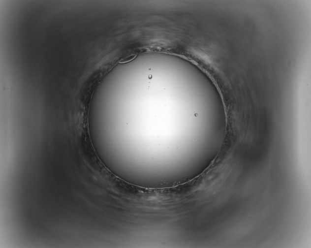X0000088681399200706071417