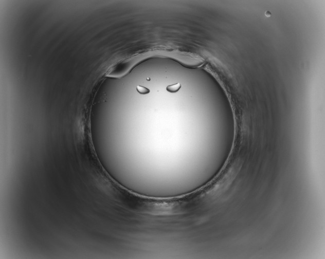 X0000088681401200706071417