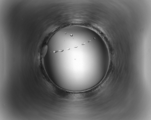 X0000088681402200706071417