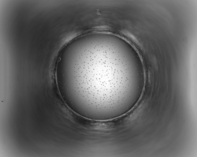 X0000088681405200706071417
