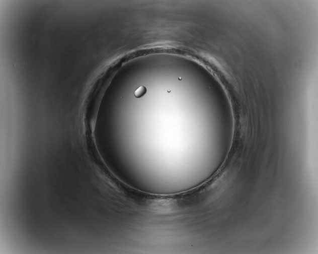 X0000088681406200706071417