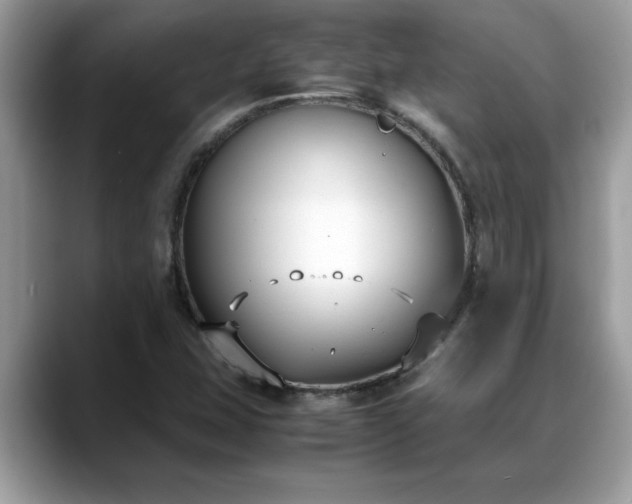 X0000088681407200706071417