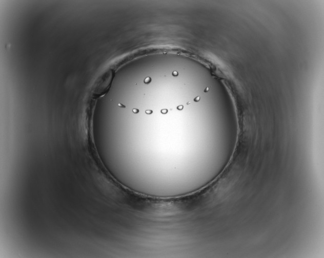 X0000088681408200706071417