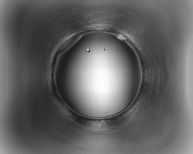 X0000088681410200706071417