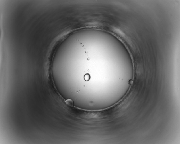 X0000088681411200706071417