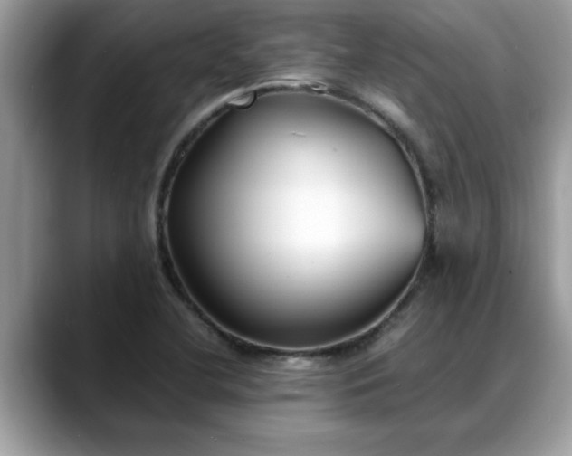 X0000088681412200706071417