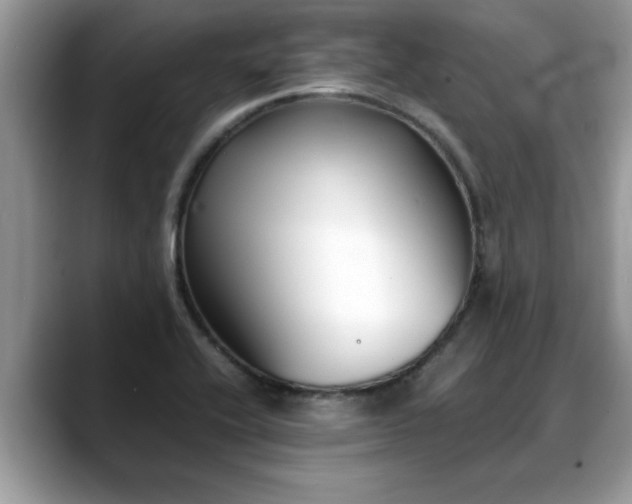 X0000088681416200706071417