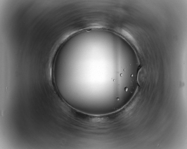X0000088681419200706071417