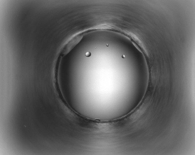 X0000088681422200706071417