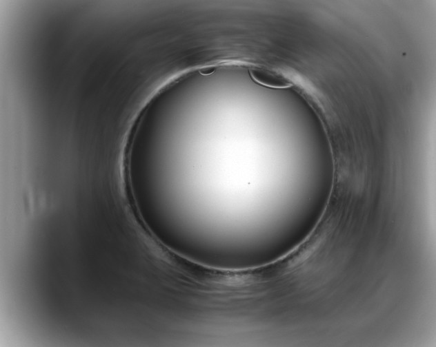 X0000088681423200706071417