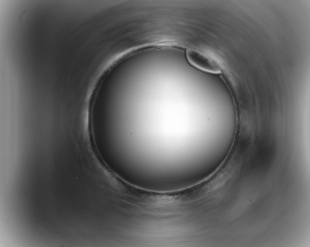 X0000088681424200706071417