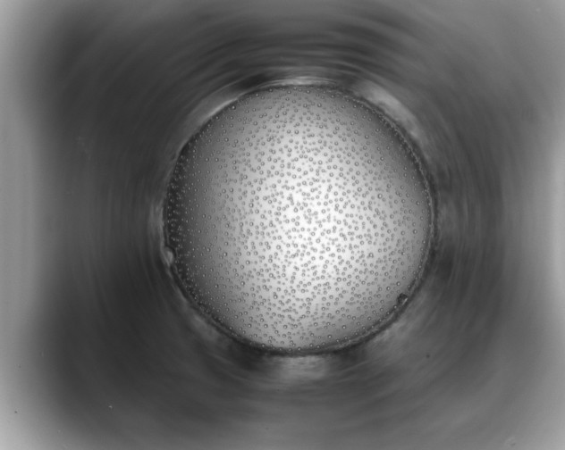 X0000088681425200706071417