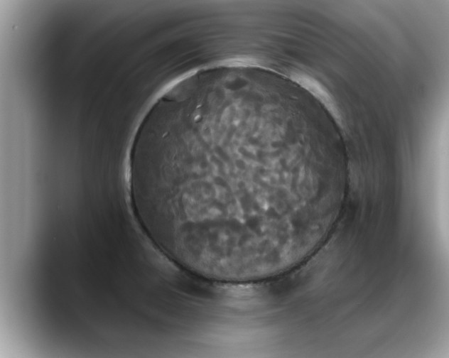 X0000088681428200706071417