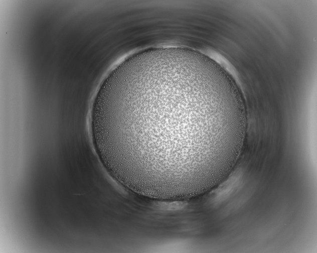 X0000088681429200706071417