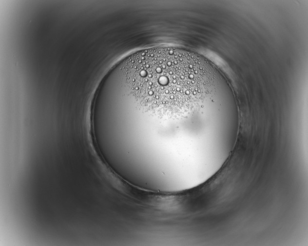 X0000088681431200706071417