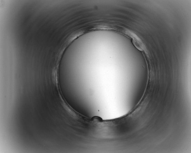 X0000088681433200706071417