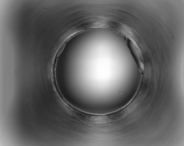 X0000088681434200706071417