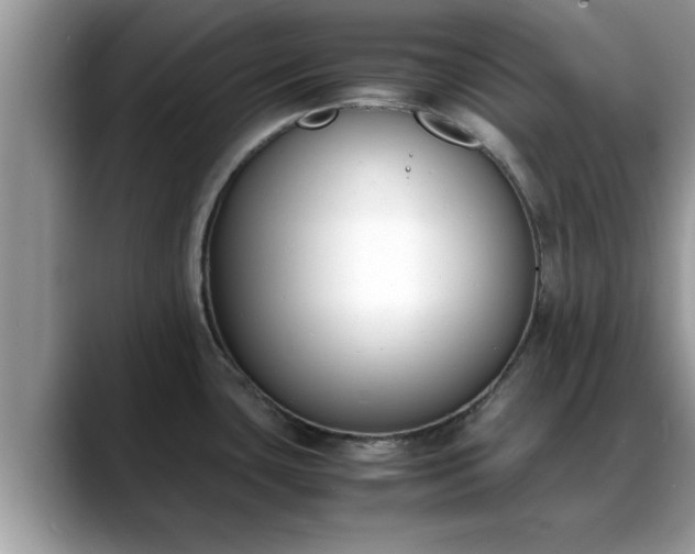 X0000088681435200706071417