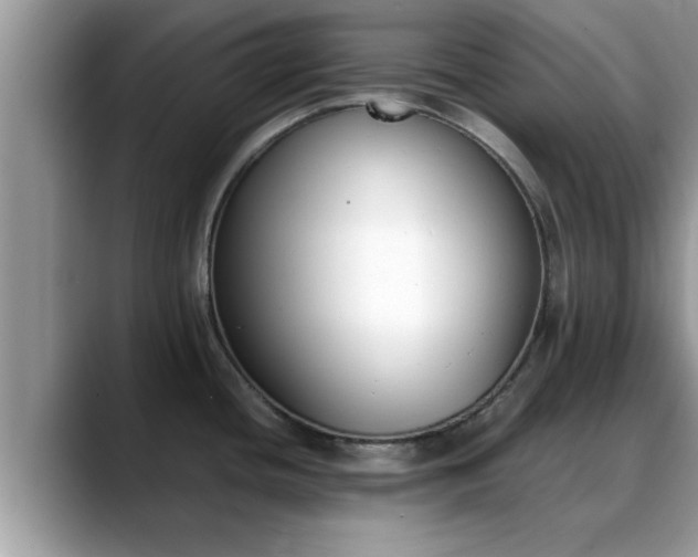 X0000088681436200706071417