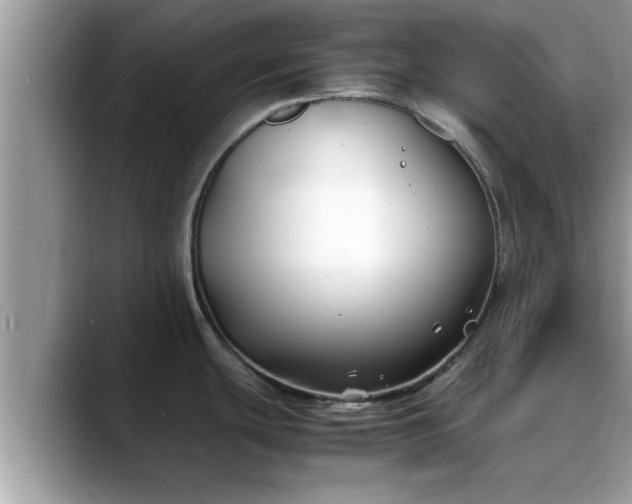 X0000088681439200706071417