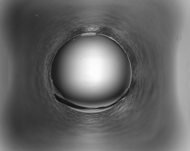 X0000088681441200706071417