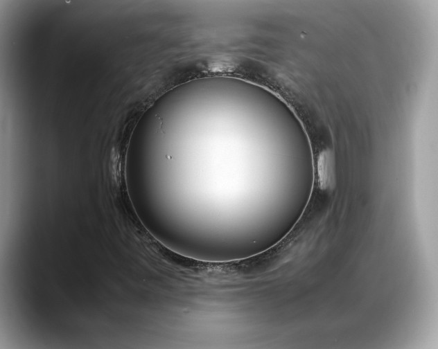 X0000088681443200706071417