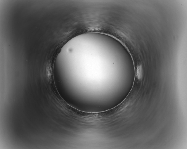 X0000088681444200706071417