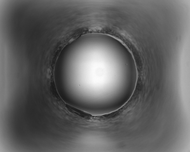 X0000088681445200706071417