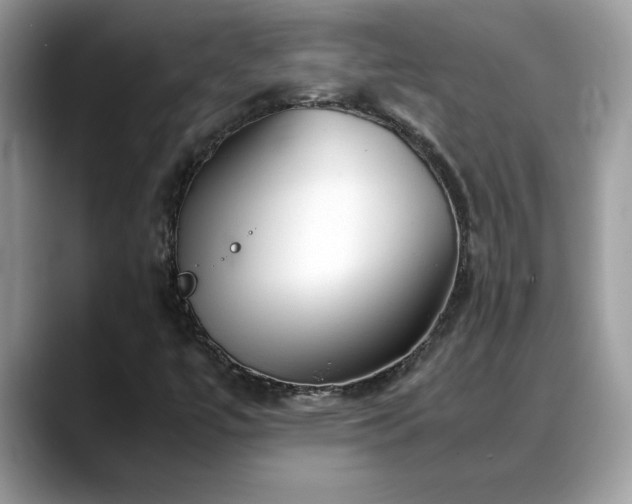 X0000088681447200706071416