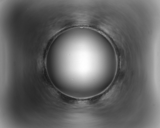 X0000088681453200706071416